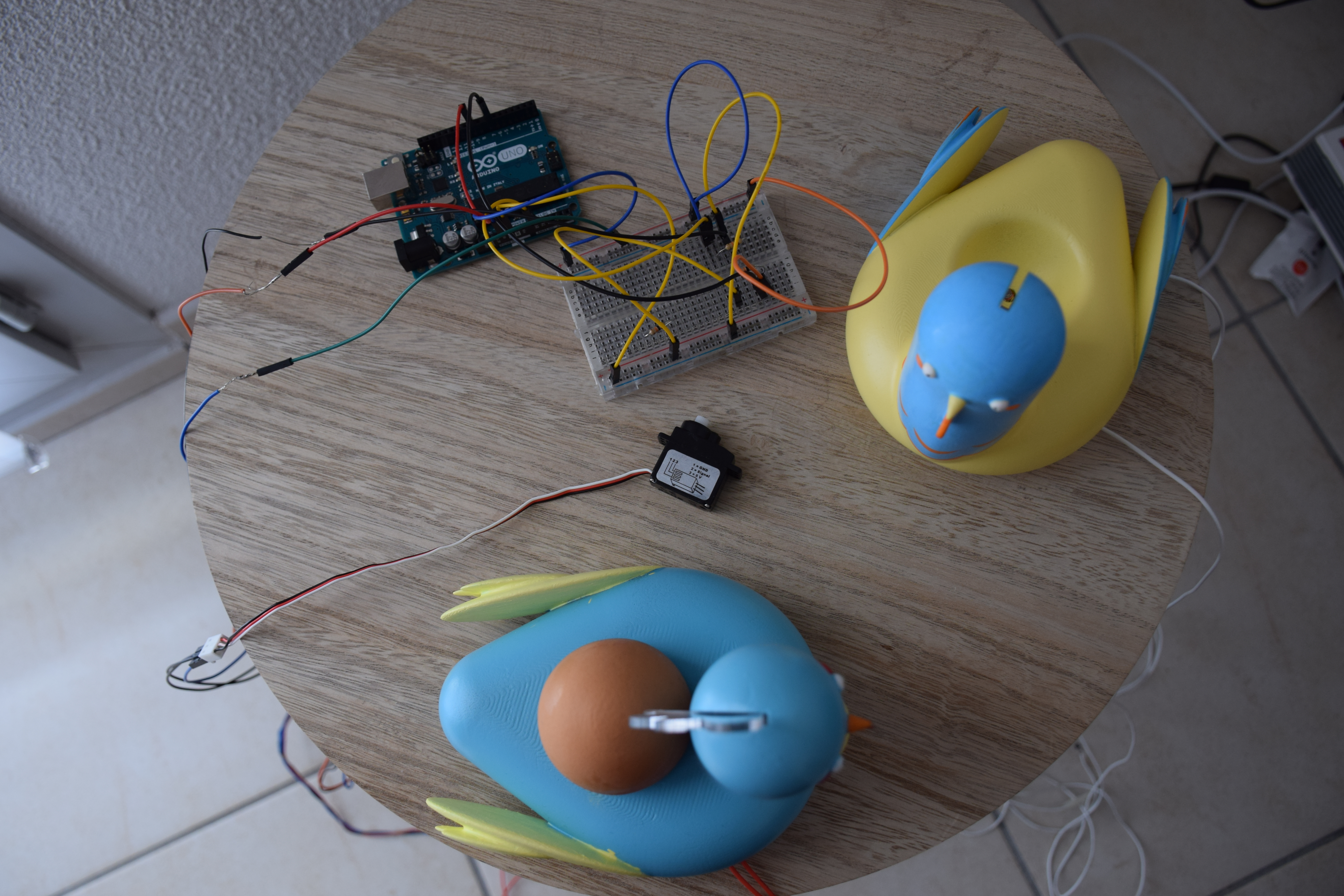 Le cablage relié aux poules